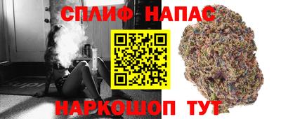 крисы Пугачёв
