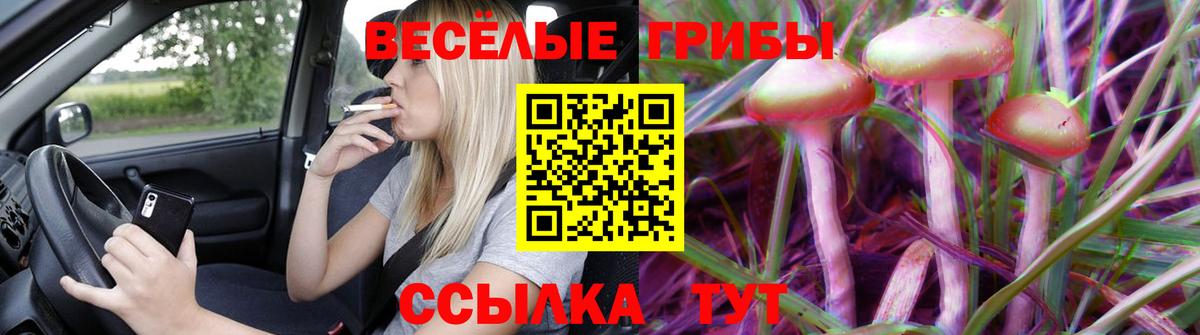 Псилоцибиновые грибы Psilocybe  Вход с VPN  Скопин 