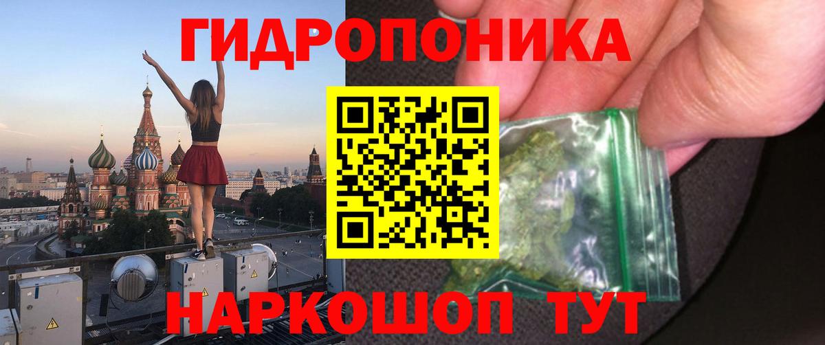 Конопля сатива Скопин